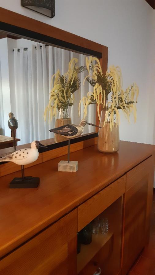 Joanita Beach Apartment Holidays Lagos Eksteriør billede